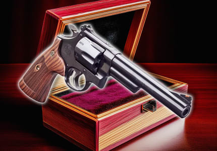 $100 Off S&W Model 29 Revolvers