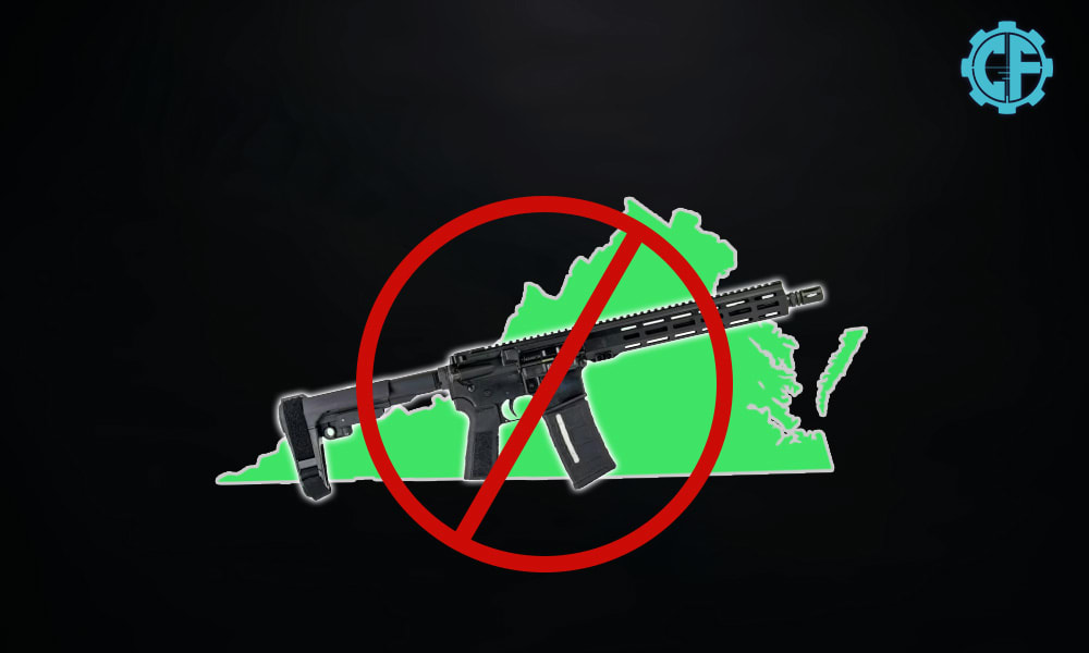Everything You Need To Know About Virginia's Assault Weapons Ban