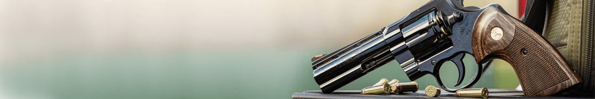 Category Header