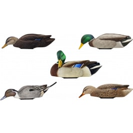Avian <em>X</em> AVX-PSH-MDPR Mallards Species Multi-Color