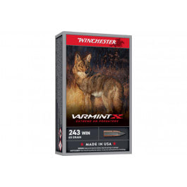 Winchester Winchester Ammo X243PXP Varmint X 243 Win 65 GRExtreme Point 20 Per Box