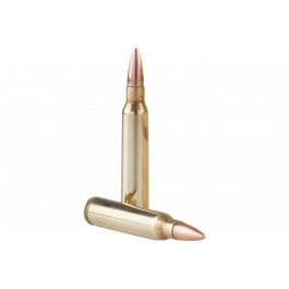Prvi Partizan TR&Z PPU Range Master 5.56x45mm NATO 125 Rounds 55 gr Full Metal Jacket Boat Tail Brass Case