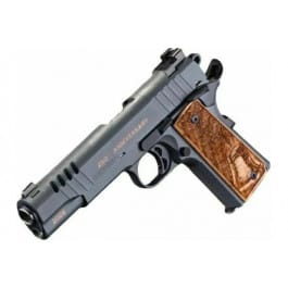 Auto-Ordnance 1911 Land Of The Free 1911TCAC21 Pistol .45 ACP 5" Barrel 7+1 Single-Action Stainless TruGlo Sights