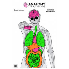 Action Target GSANATOMY100 Entertainment Training Silhouette/Vitals <em>Paper</em> Target 23" x 35" 100 Per Box