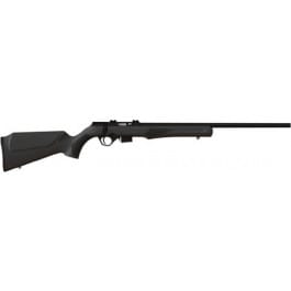 Rossi RB17H2111 RB17 Bolt ACT 17HMR 21 5+1 Black