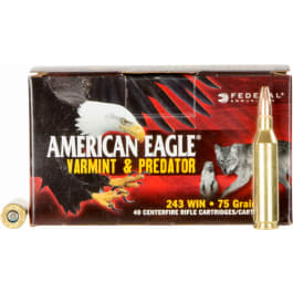 Federal AE24375VP <em>American</em> <em>Eagle</em> 243 Winchester 75 <em>GR</em> Jacketed Hollow Point - 40rd Box
