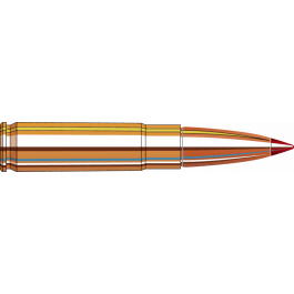 Hornady Hornady Custom 300 Blackout 110 GR CX 20/10 - 20rd Box