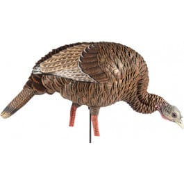 Avian <em>X</em> AVX-AVX8107 HDR Feeding Hen Turkey Species Multi Color