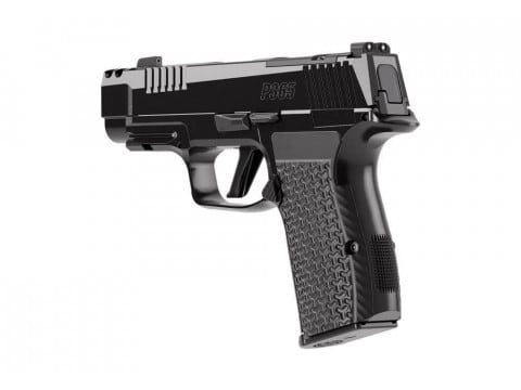 SIG SAUER P365 AXG LUXE .380 ACP PISTOL 3.1