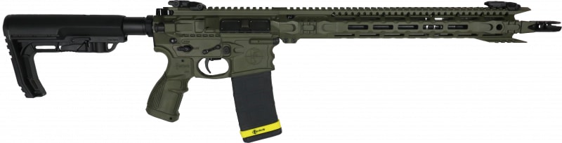 Fostech Stealth Raptor AR 16