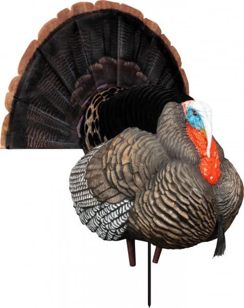 Strutter Svg Higdon Outdoors 63148 Hard Body Apex Strutter Turkey Tom Species Multi