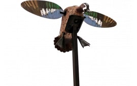 Mojo HW2475 ES BW Teal