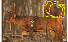 Birchwood Casey 37431 EZE-Scorer Whitetail Deer Target Self-Adhesive Paper Universal 2 Targets/Includes 4 Overlays