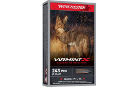 Winchester Ammo X243PXP Varmint X 243 Win 65 GRExtreme Point 20 Per Box/ 10 Case - 20rd Box