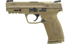 Smith & Wesson M&P9 11767 9M 4.25 M2.0 TruGlo FDE 17R