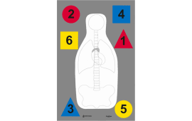 Action Target DTANTQA100 Training Multi-Purpose Silhouette Paper Hanging 23" x 35" Multi-Color 100 Per Box