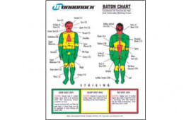 Monadnock 5004 Baton Trauma Zone Poster and Quick Reference Tool