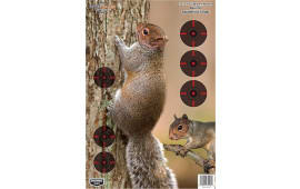 Birchwood Casey 35406 Pregame  Squirrel Paper Hanging Rifle 12" x 18" Impact Enhancement Yes 8 Per Pkg
