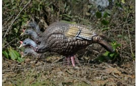 Higdon Outdoors 63171 XS Trufeeder Motion  Turkey Hen Species Multi Color Features TruMotion System