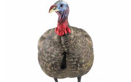 Avian X AVXAVX8003 LCD Quarter-Strut Jake Turkey Species Multi Color Dura-Rubber
