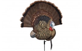 Avian X AVXAVX8021 Trophy Tom Turkey Species Multi Color