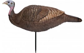Primos 69073 Lil Gobstopper Hen Turkey Species Multi Color