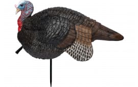 Primos 69074 Lil' Gobstopper Jake Turkey Species Multi Color