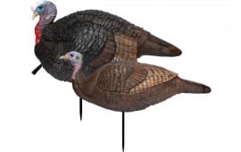 Primos 69075 Lil' Gobblestopper Jake & Hen Combo Turkey Species Multi Color
