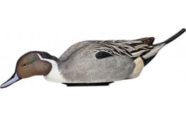Avian X AVX-PSH-PNSF Pintail Species Multi-Color