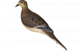 Avian-X Full Body Dove Decoy 6 Pack, Lifelike Design, Durable Construction, Includes Stakes and Tree Clips.