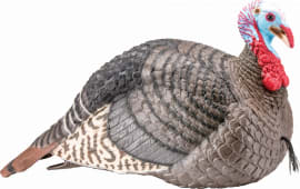 Hunters Specialties 100003 Strut-lite Jake Turkey Decoy