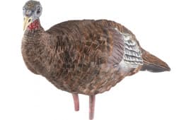 Avian X AVX-AVX8008 LCD Breeder Hen Turkey Species Multi Color Dura-Rubber