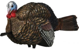 Avian X AVX-AVX8012 LCD Half-Strut Jake Turkey Species Multi Color Dura-Rubber