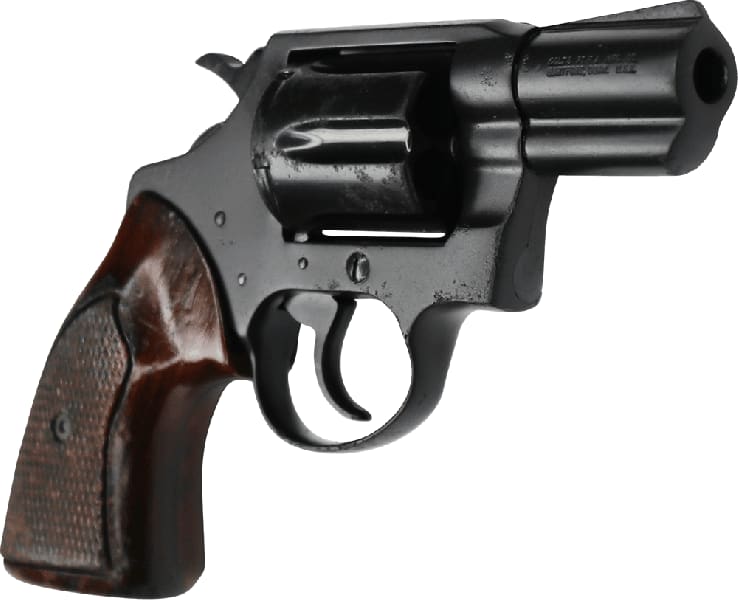 hgn-colt-detective-spl_3_web-