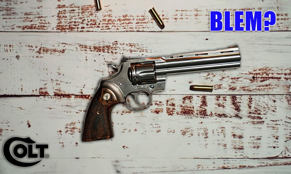 What Makes Blem Colts Different? Why A Blem Colt Might Be For You